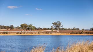 Birdwood Estate Vineyard 1282 Torrens Valley Road Birdwood SA 5234