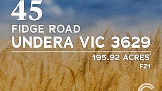 45 Fidge Road Undera VIC 3629