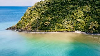 Cape Tribulation QLD 4873