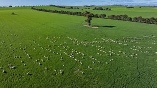 Greenethorpe NSW 2809