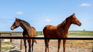 478 Usher Road Gifford Hill SA 5253 478 Usher Road Gifford Hill SA 5253