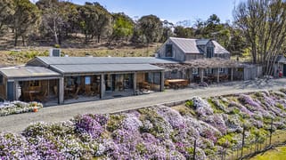 12 Addison Street Swansea TAS 7190