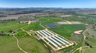 Tharri 307 Rushes Creek Road Klori NSW 2346