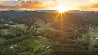 253 Palmvale Road Palmvale NSW 2484