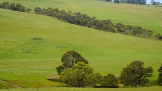 593 Balochile Road Coleraine VIC 3315