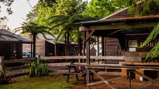 Dorrigo NSW 2453