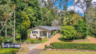 Tamborine Mountain QLD 4272