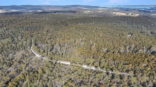 25851 Tasman Highway St Helens TAS 7216