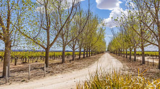 1270 Langhorne Creek Road Langhorne Creek SA 5255