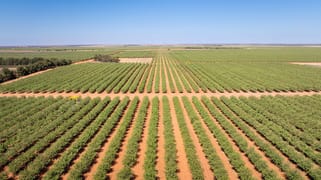 995 Millewa Road Koorlong VIC 3501
