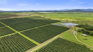 Mareeba Dimbulah Road Arriga QLD 4880