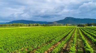 Nightingale Wines 1239 Milbrodale Road Broke NSW 2330