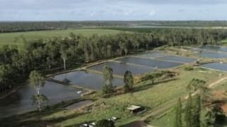 91 Hatchery Road Abington QLD 4660