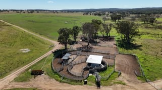 555 Palgrave Road Dalveen QLD 4374