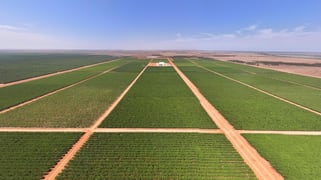 Talia Farms 1251 Stanitzki Road Pike River SA 5340