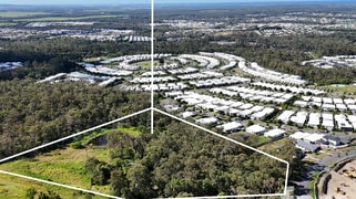 118 Nambucca Crescent Pimpama QLD 4209