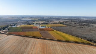 3784 Walnut Avenue Koorlong VIC 3501