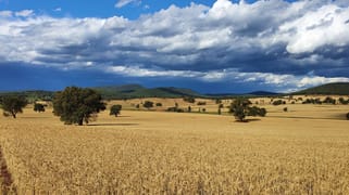 Kurrajong Valley, 23 Wild Lane Parkes NSW 2870