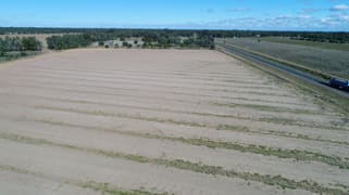 Warren NSW 2824
