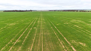 85 Four Mile Gate Road Walgoolan WA 6422