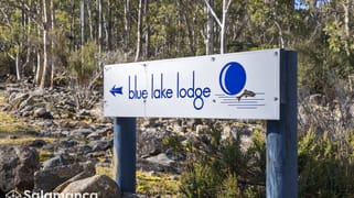 329 Arthurs Lake Rd Arthurs Lake TAS 7030