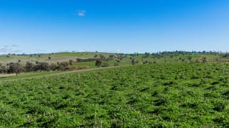 670 Leahy Road Harefield NSW 2650