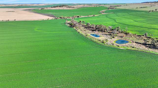 Croppa Creek NSW 2411