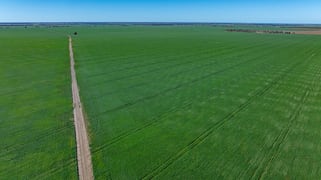 6210 Carnarvon Highway Thallon QLD 4497