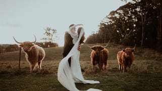 562 Nowra Road Moss Vale NSW 2577