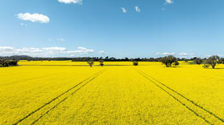 484 Merri Meric Road Henty NSW 2658