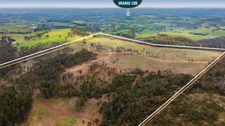 1606 Mount Canobolas Road, Orange NSW Orange NSW 2800