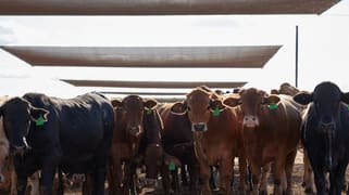 91 Mort Street Toowoomba City QLD 4350