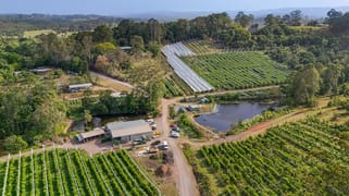 43 Pringle Road Rosemount QLD 4560