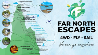 Cape Tribulation QLD 4873