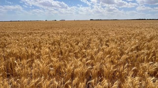 Lot 504 Dowerin-Koorda Road Booralaming WA 6475 Lot 504 Dowerin-Koorda Road Booralaming WA 6475