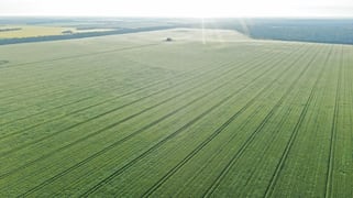 3531 Goodar Road Goodar QLD 4390