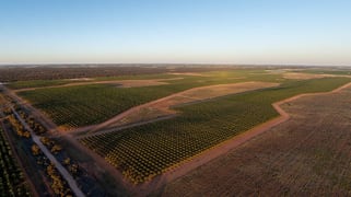 971 Wilga Road Red Cliffs VIC 3496 971 Wilga Road Red Cliffs VIC 3496