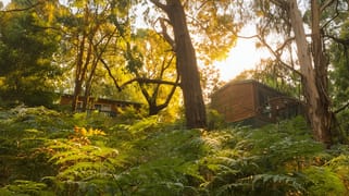 65 Pennyroyal Station Road Pennyroyal VIC 3235