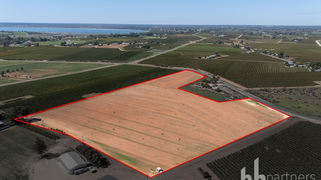Lot 38 Loveday Road Barmera SA 5345