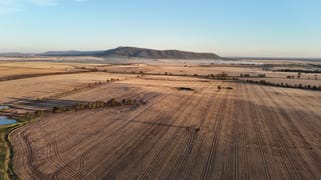 Mid Western Highway Quandialla NSW 2721