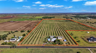 233 Back Springfield Road Woongarra QLD 4670