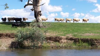 171 Lower Somerton Road Attunga NSW 2345