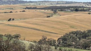 663 Marola Road Brinkworth SA 5464