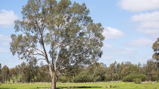 Muckleford Gower Land Muckleford VIC 3451