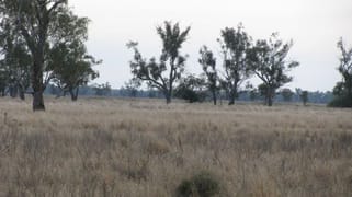 . Lot 3 Wambianna Road Warren NSW 2824 . Lot 3 Wambianna Road Warren NSW 2824