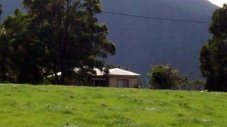 Moorland NSW 2443