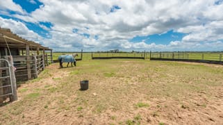 266 Ruths Road South Kolan QLD 4670