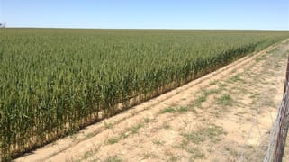 1726 Baandee North Cross Road North Baandee WA 6412