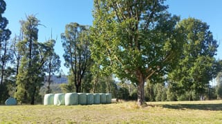990 Maroondah Highway Narbethong VIC 3778