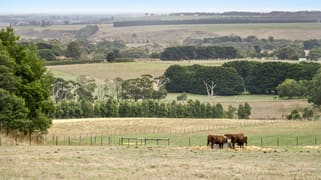 20 Old Lorne Road Deans Marsh VIC 3235